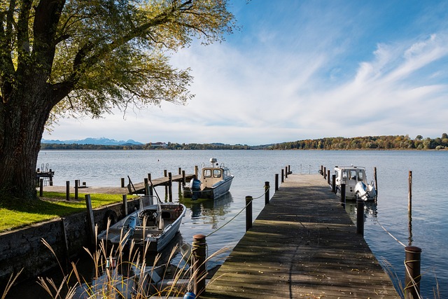 中国马术选手奥运资格赛晋级