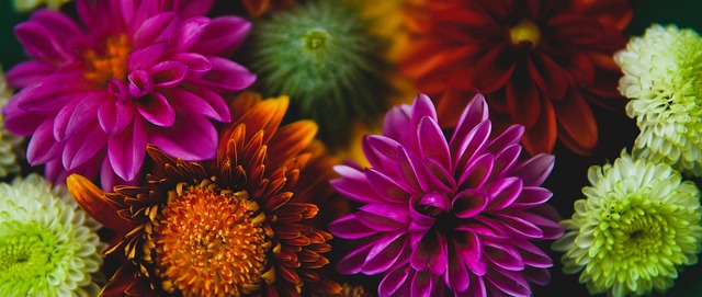 吸引了世界 吸引了世界