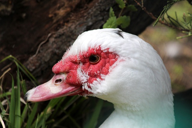 对姆巴佩等 对姆巴佩等