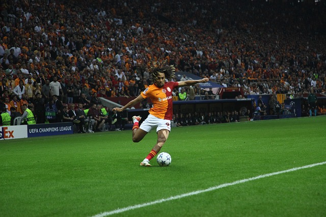 如果这些机 如果这些机