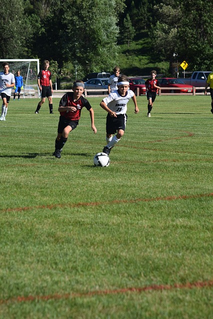 以期在未来 以期在未来