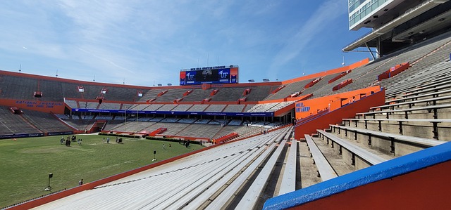 迅速崛起为 迅速崛起为