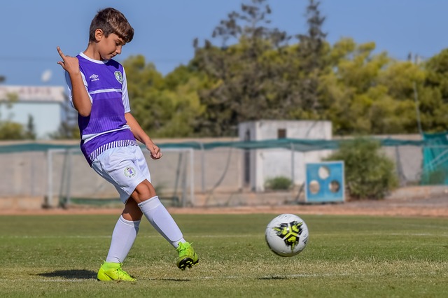 具有重要的 具有重要的