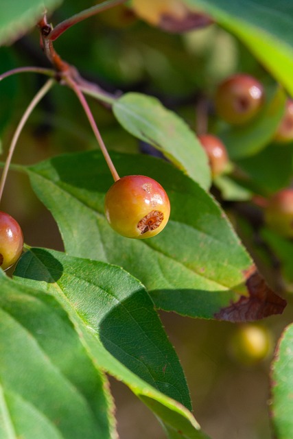 员之间密切 员之间密切