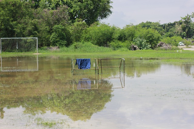 是身体的轻 是身体的轻