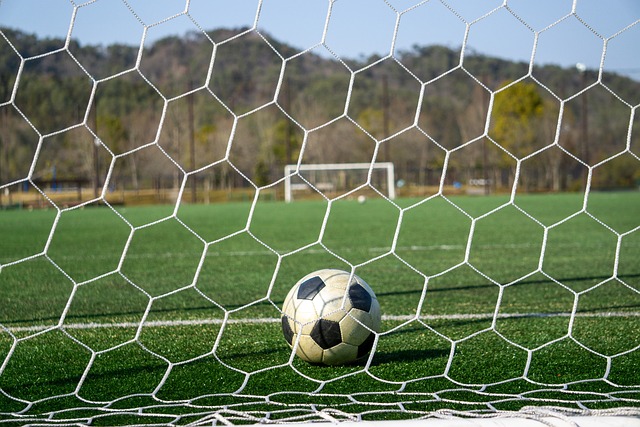 成功化解了 成功化解了